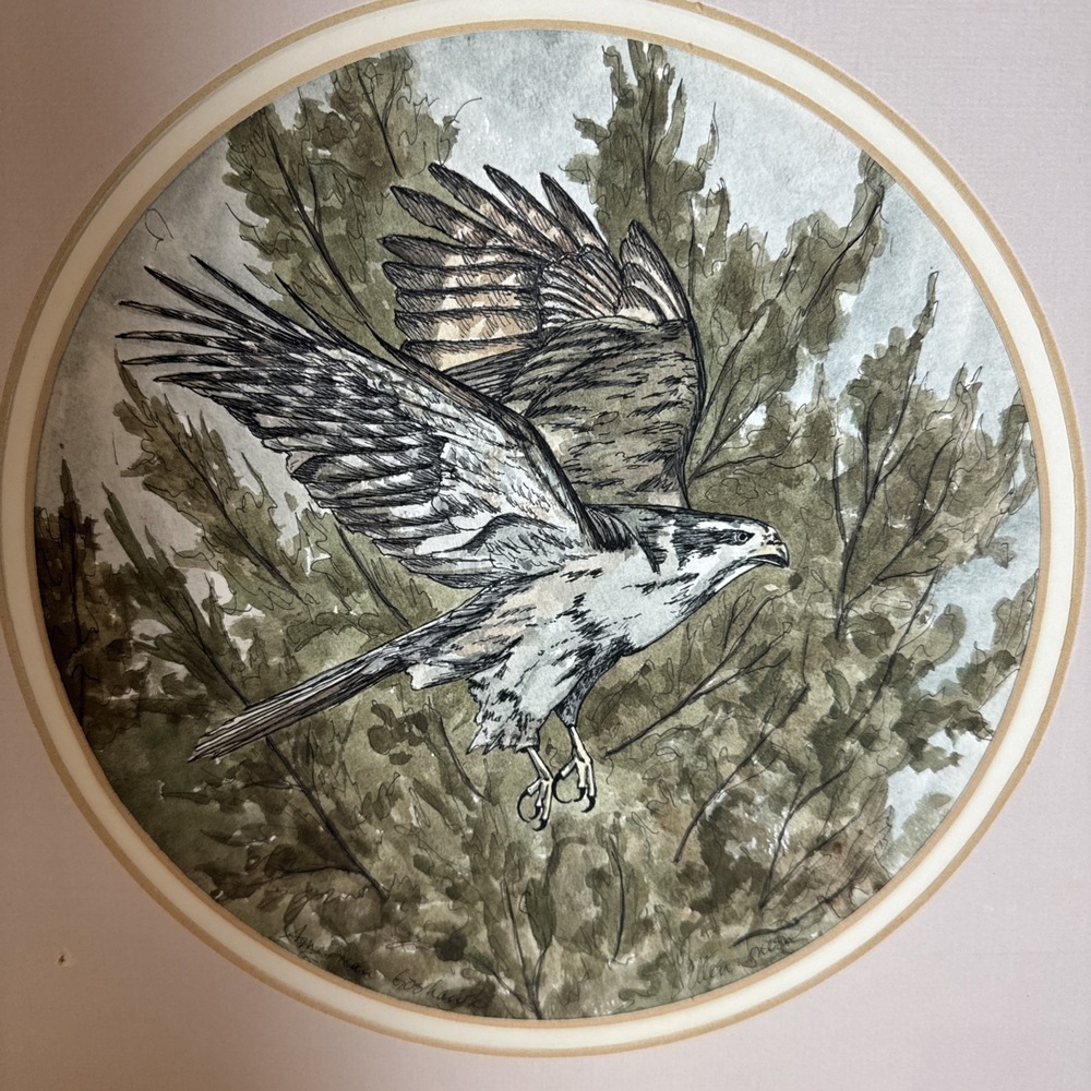 Ellen Jones Watercolor Painting Flying Hawk Signed Virginia Artist Matted 14x16"